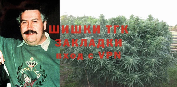 ГАЛЛЮЦИНОГЕННЫЕ ГРИБЫ Абдулино